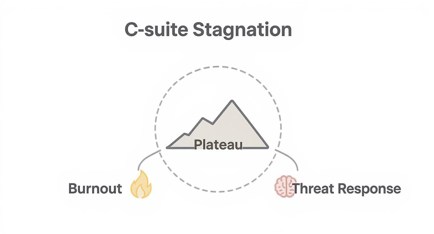 Diagram showing C-suite stagnation cycle with plateau mountain, burnout flame, and threat response brain icons