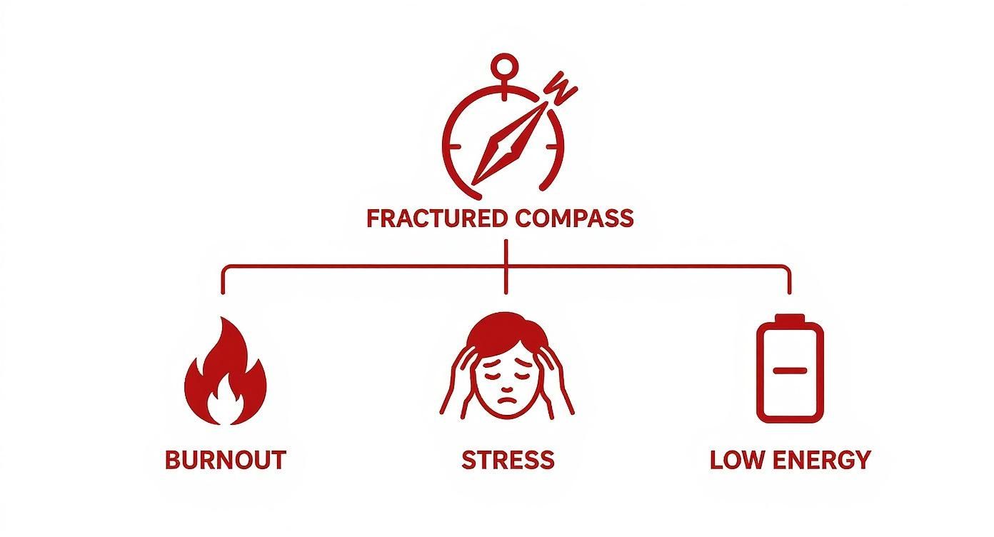 Infographic about what are professional values