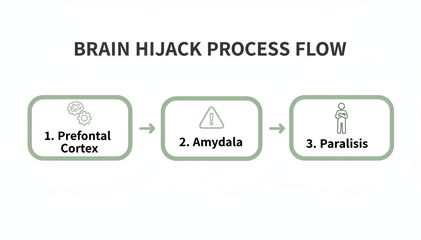 Flow chart illustrating the brain hijack process: Prefrontal Cortex to Amygdala to Paralysis. Flow chart illustrating the brain hijack process: Prefrontal Cortex to Amygdala to Paralysis.