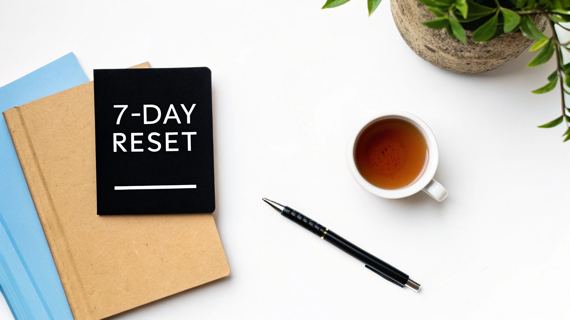 A woman with a calm expression gently touching a plant, symbolizing a moment of nervous system regulation and grounding.