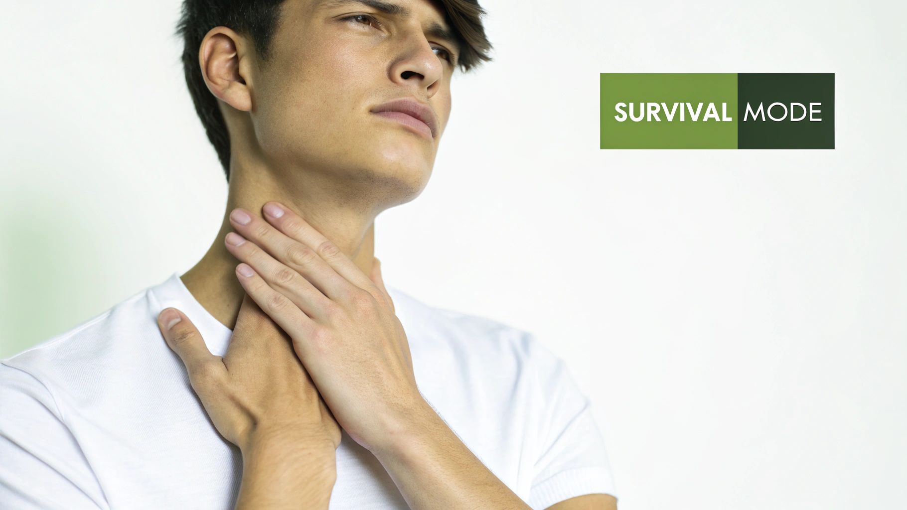 A diagram illustrating the human nervous system with glowing neural pathways, representing its alert state.