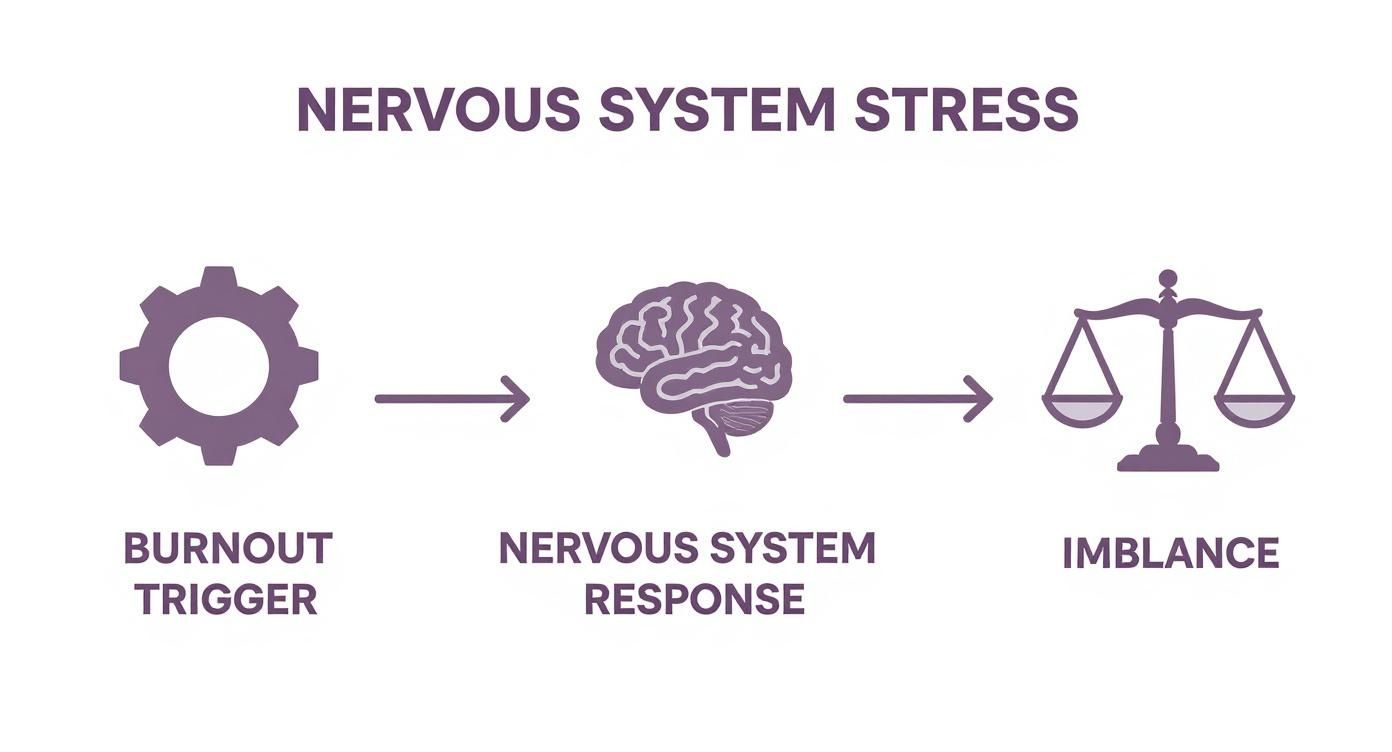 Infographic showing the process flow of nervous system stress, starting with a Burnout Trigger, leading to a Nervous System Response, and resulting in Imbalance.