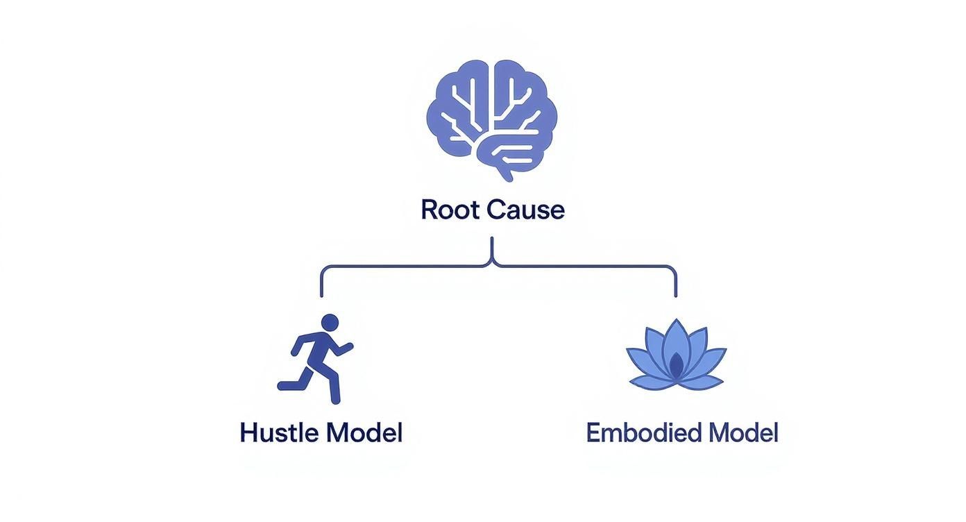 Infographic about career coaching for women