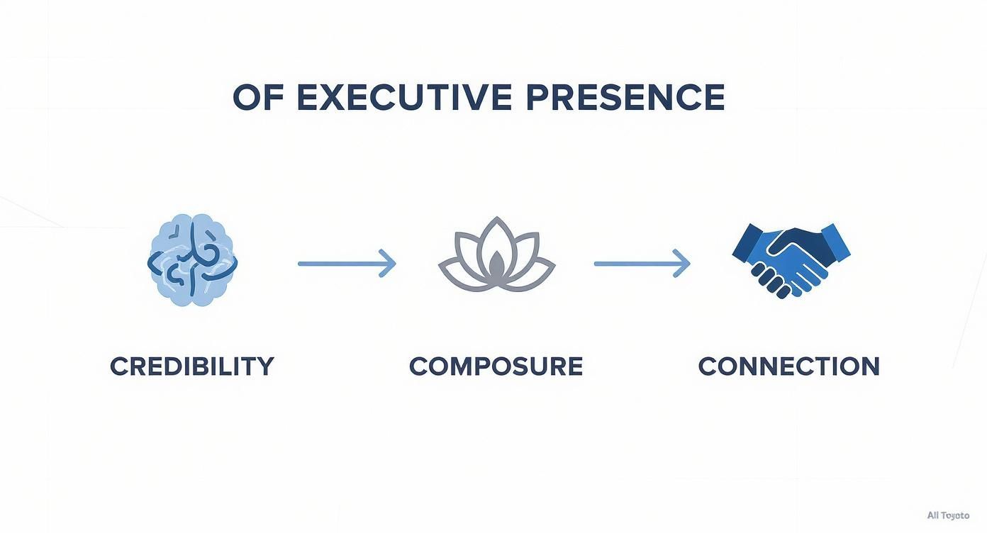 Executive presence framework showing progression from credibility through composure to connection with icons Executive presence framework showing progression from credibility through composure to connection with icons