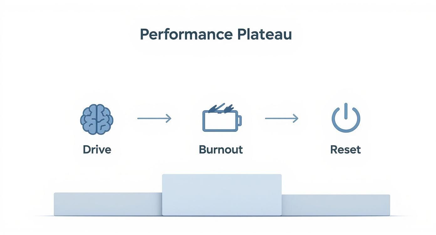 Infographic showing a three-step process flow for resetting your mindset Drive, Burnout, and Reset icons.