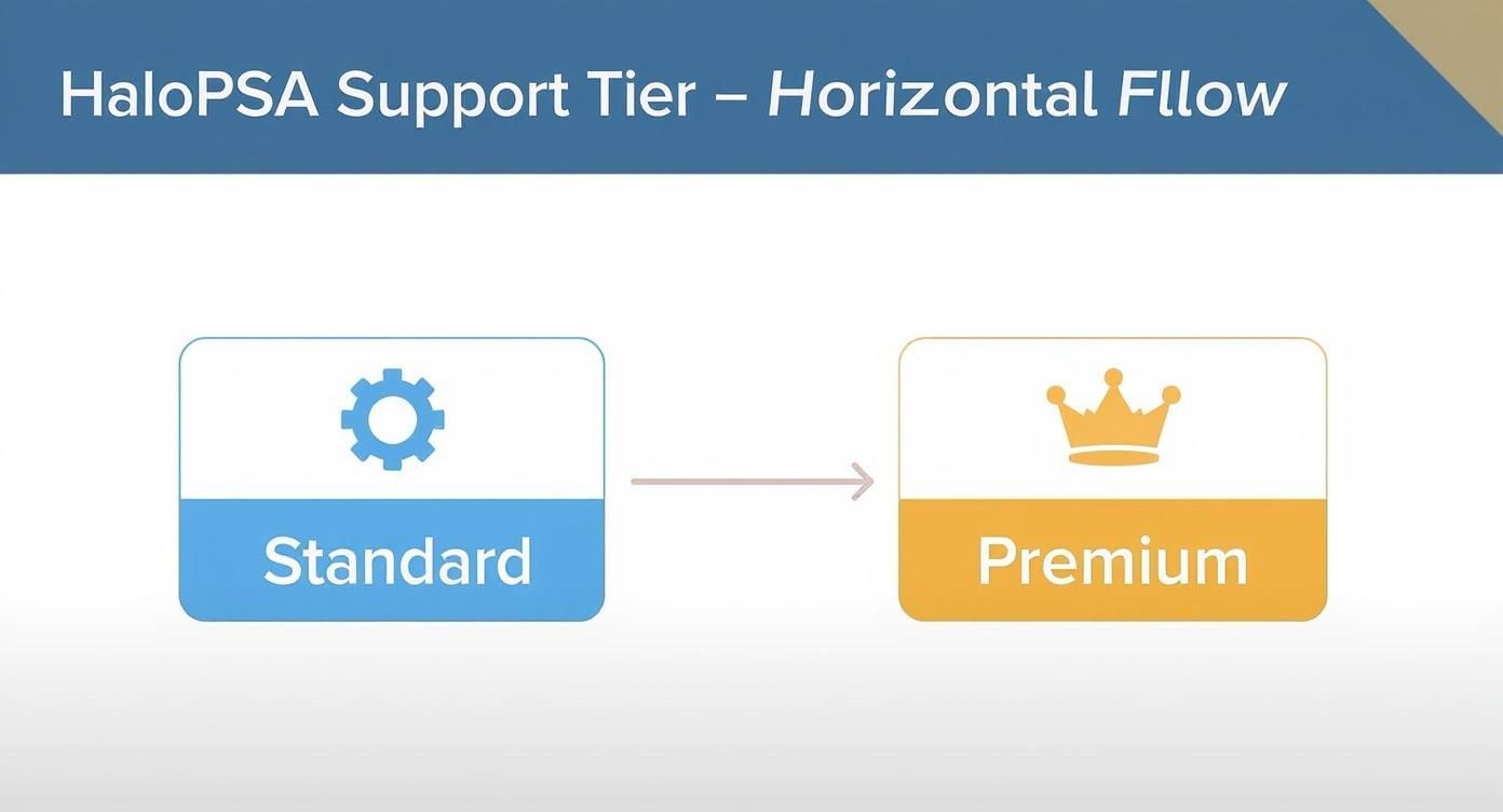 Infographic about halopsa support