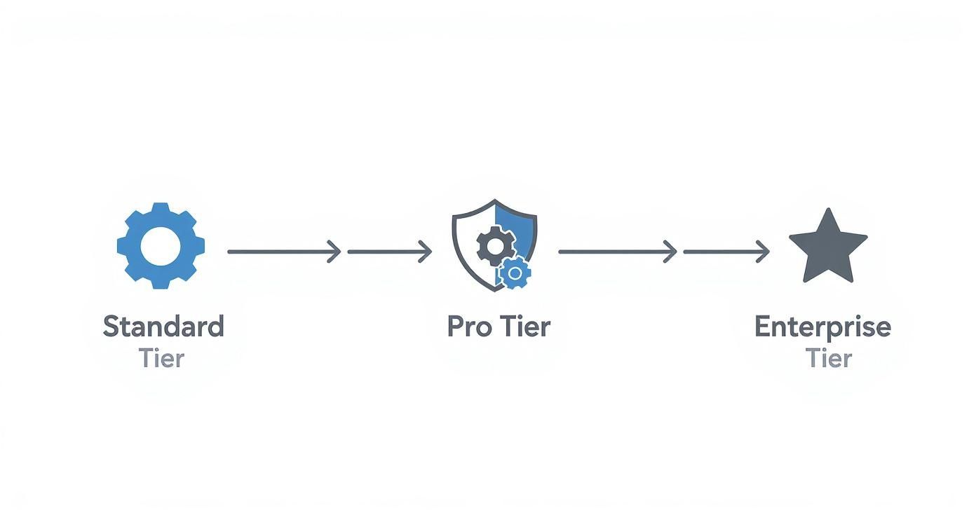 Three service tiers progression diagram showing Standard, Pro, and Enterprise levels with arrows