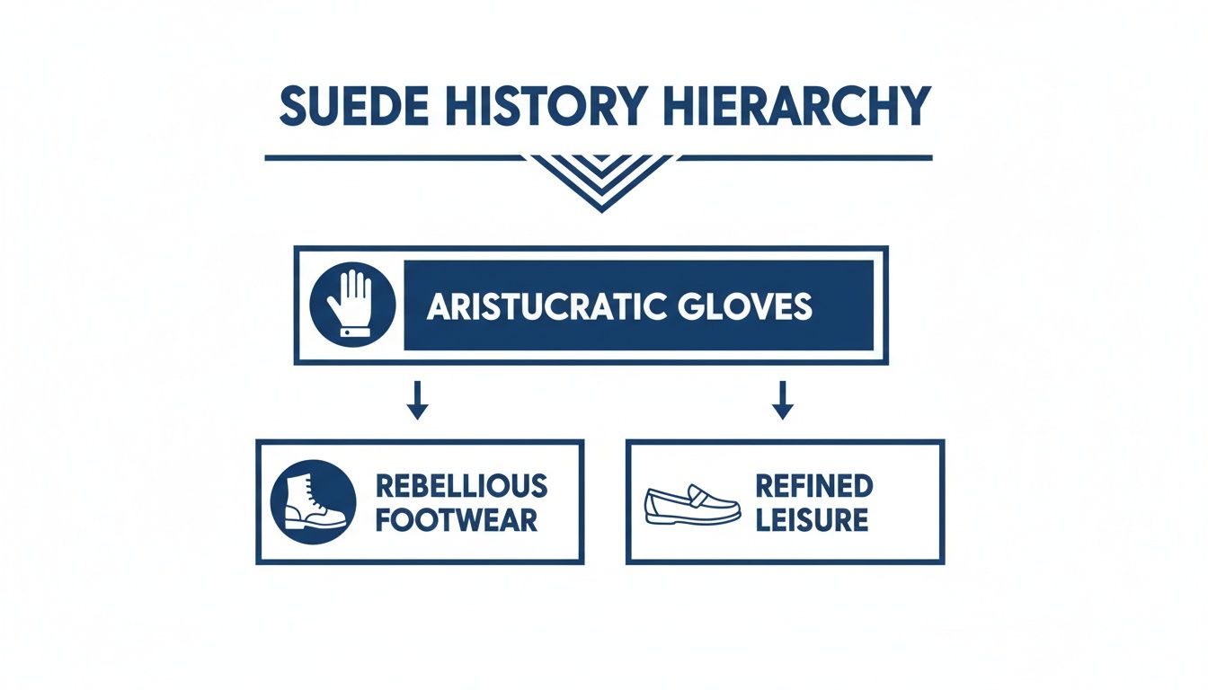 A blue and white infographic illustrating the suede history hierarchy, from aristocratic gloves to rebellious footwear and refined leisure.