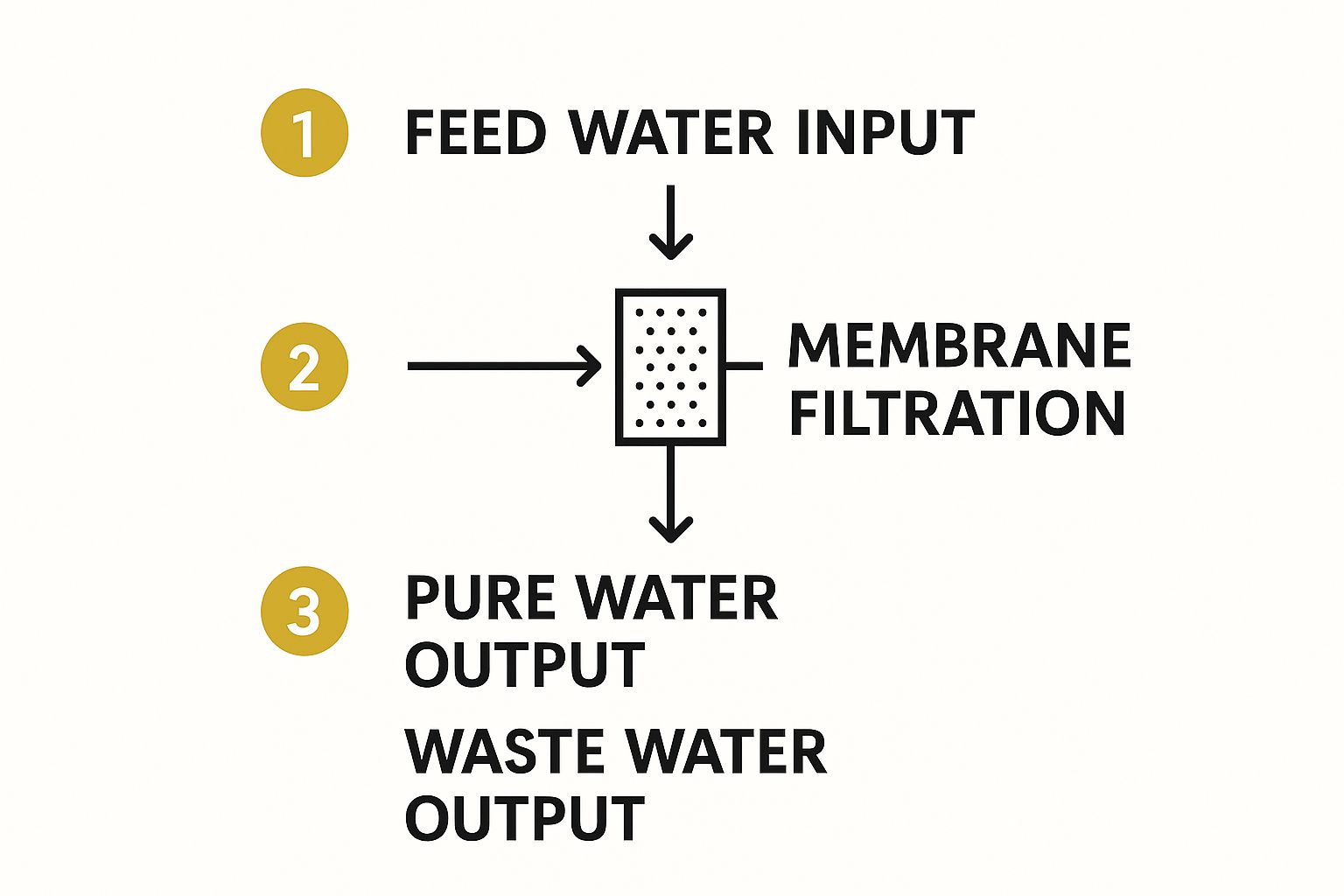 Infographic about reverse osmosis water filter