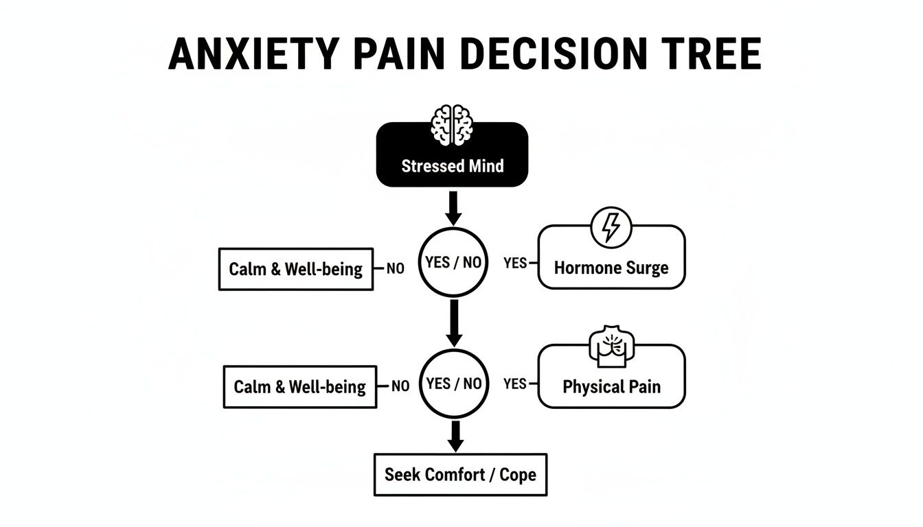 An anxiety pain decision tree flowchart illustrating how a stressed mind can lead to hormone surge and physical pain.