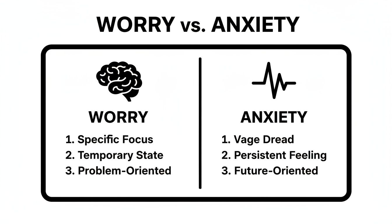 An infographic comparing worry and anxiety, highlighting their distinct characteristics and symptoms.