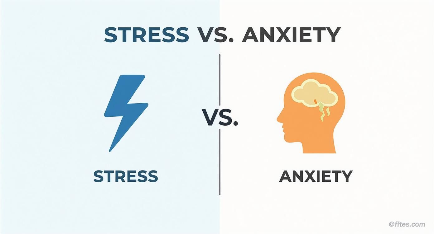 Infographic about is anxiety stress the same