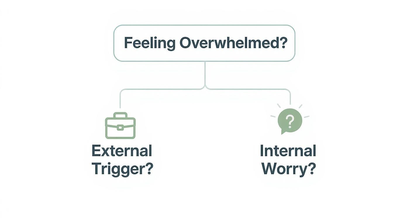 Infographic about is anxiety and stress the same