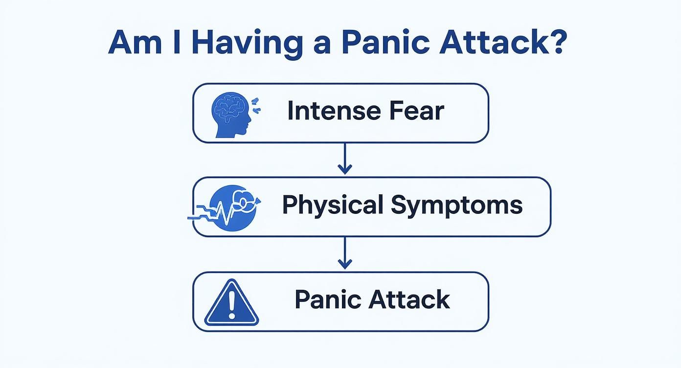 Flowchart showing progression from intense fear to physical symptoms to panic attack stages