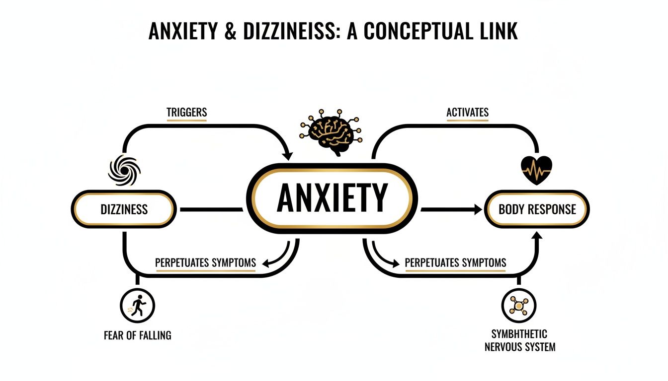 Conceptual diagram illustrating the cyclical link between dizziness, anxiety, fear of falling, and body response.