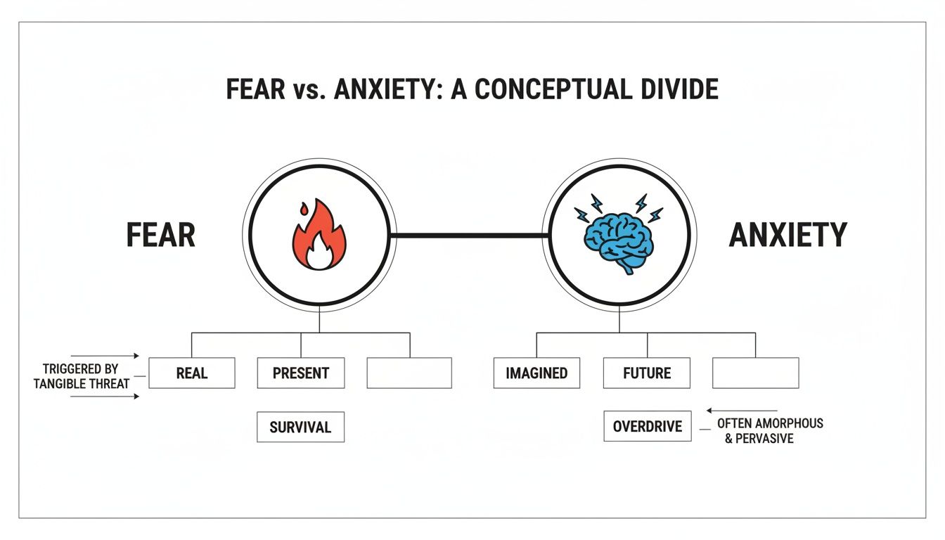 Diagram visually comparing the conceptual differences between fear and anxiety, including their triggers and characteristics.