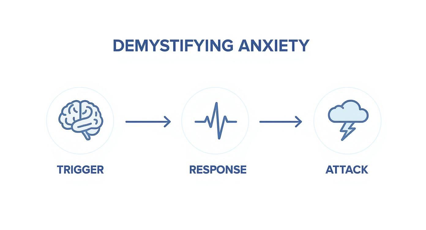 An infographic illustrating the anxiety cycle with steps: trigger (brain), response (heartbeat), and attack (storm cloud).