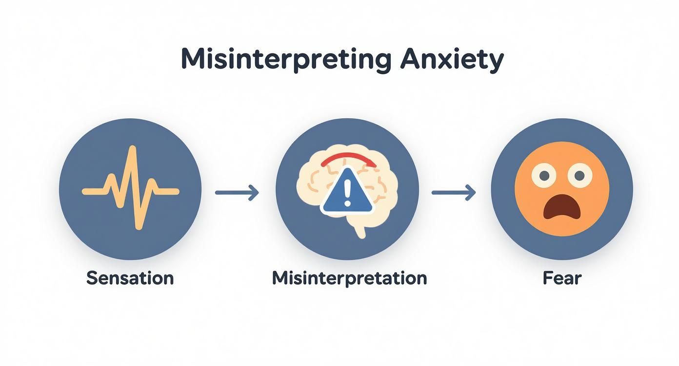 Infographic about what is anxiety sensitivity