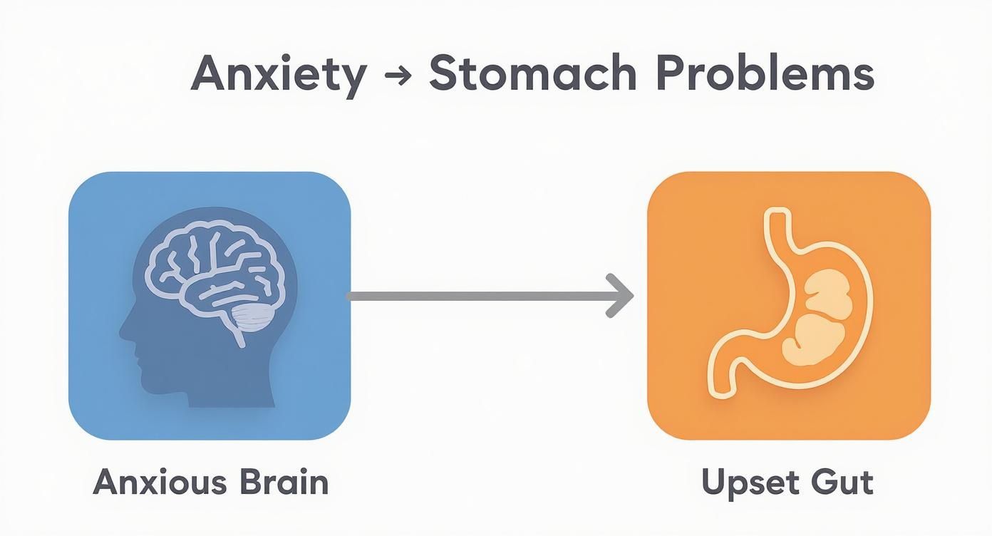 Infographic about anxiety causing stomach problems