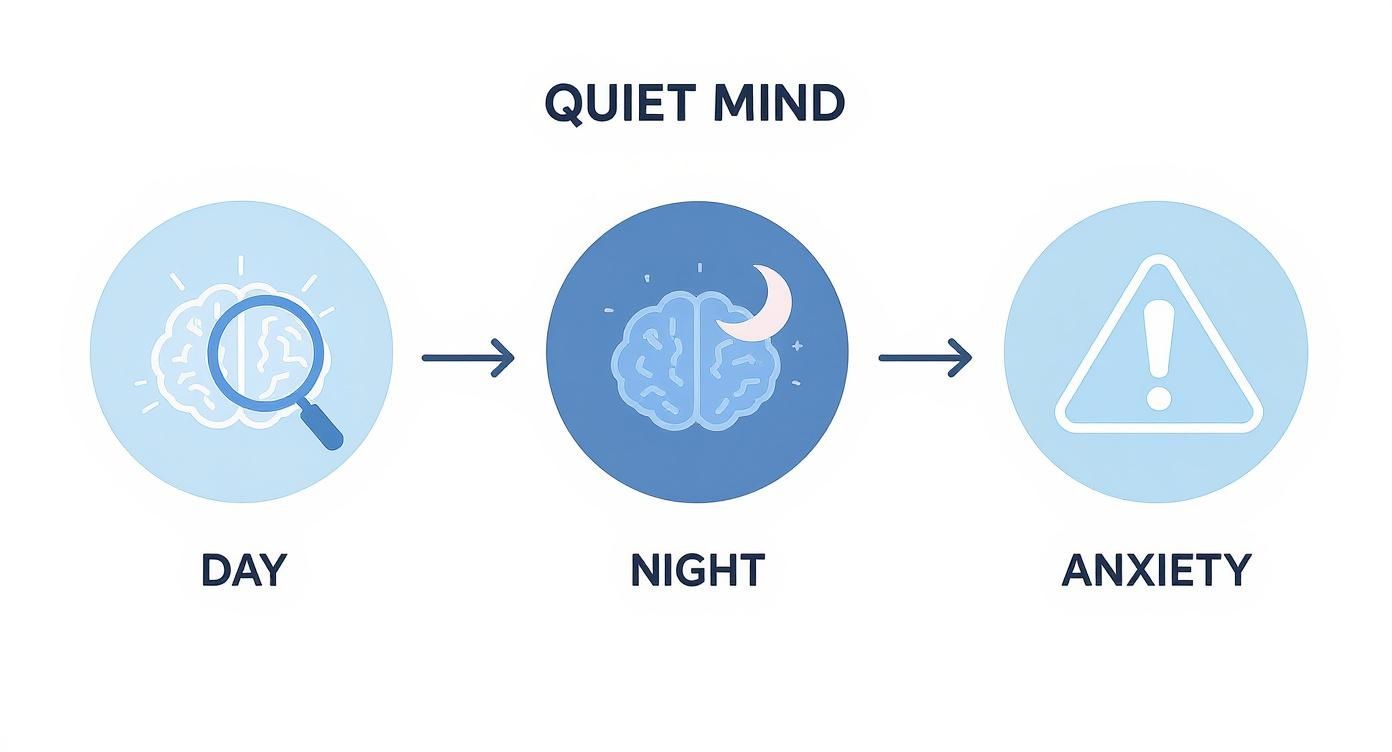 Infographic about why does anxiety get worse at night