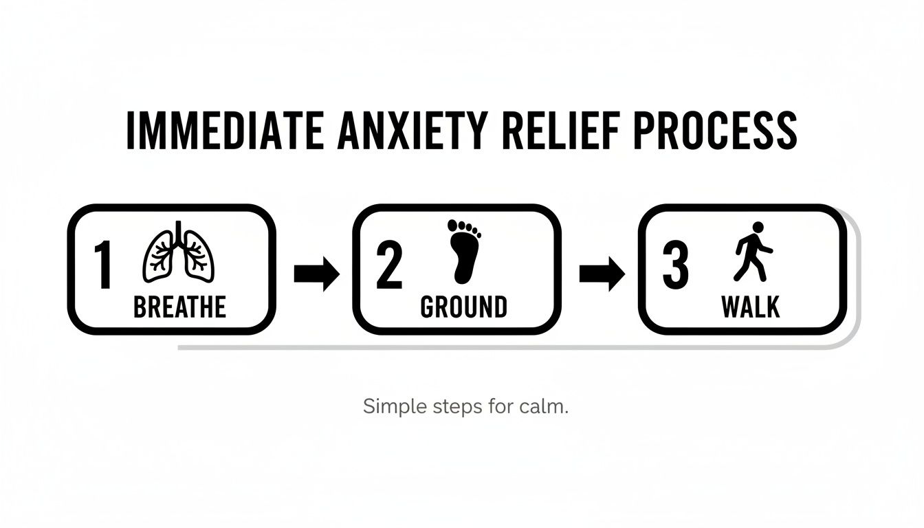 Visual guide for immediate anxiety relief process showing three steps: Breathe, Ground, Walk.