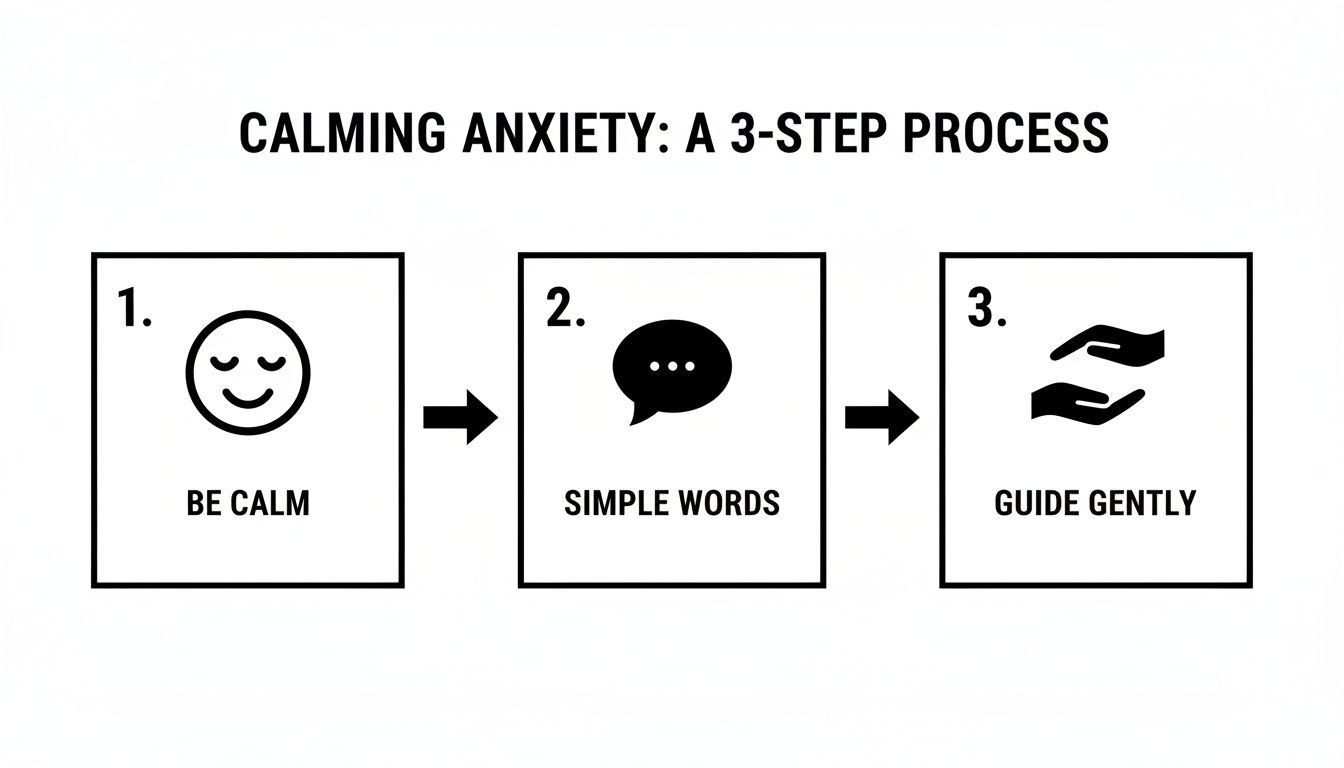 A 3-step process infographic on calming anxiety: Be calm, use simple words, and guide gently.