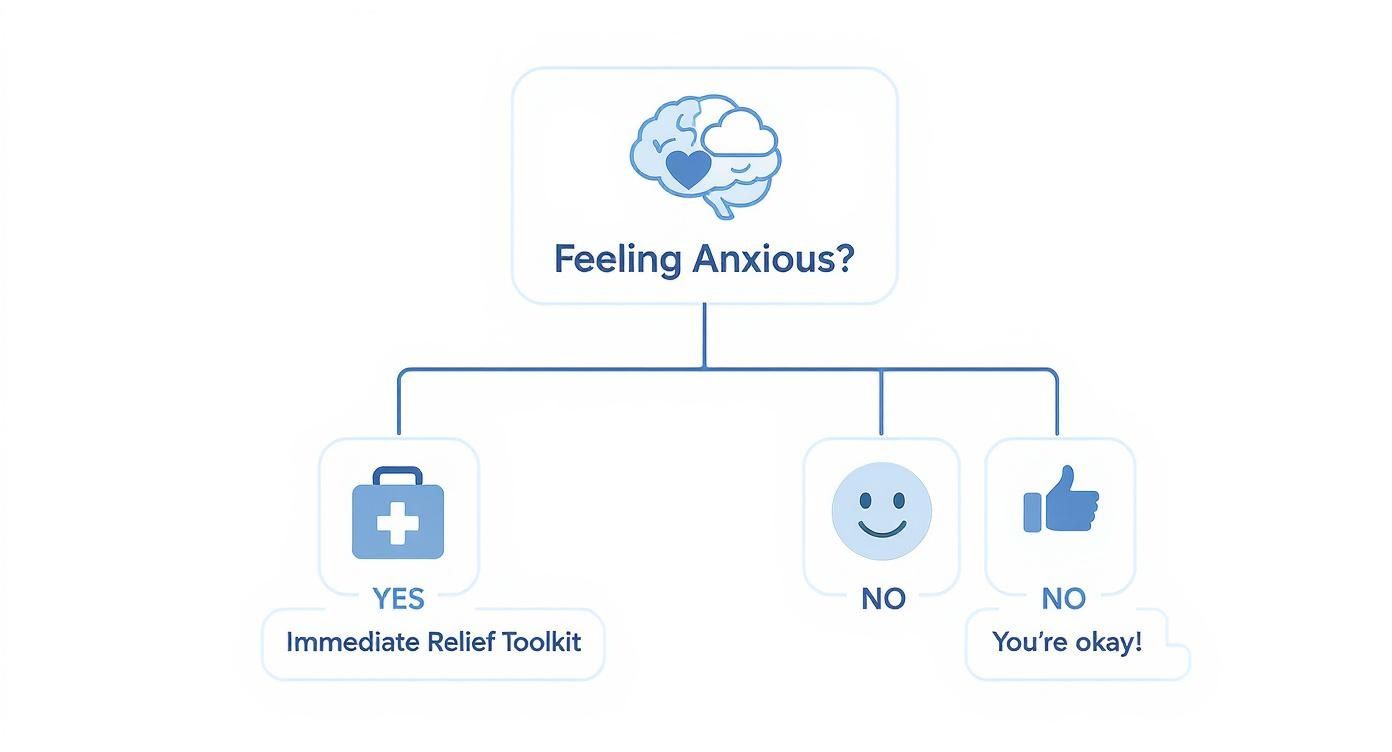 A flowchart for managing anxiety, offering an immediate relief toolkit for 'yes' and reassurance for 'no'.
