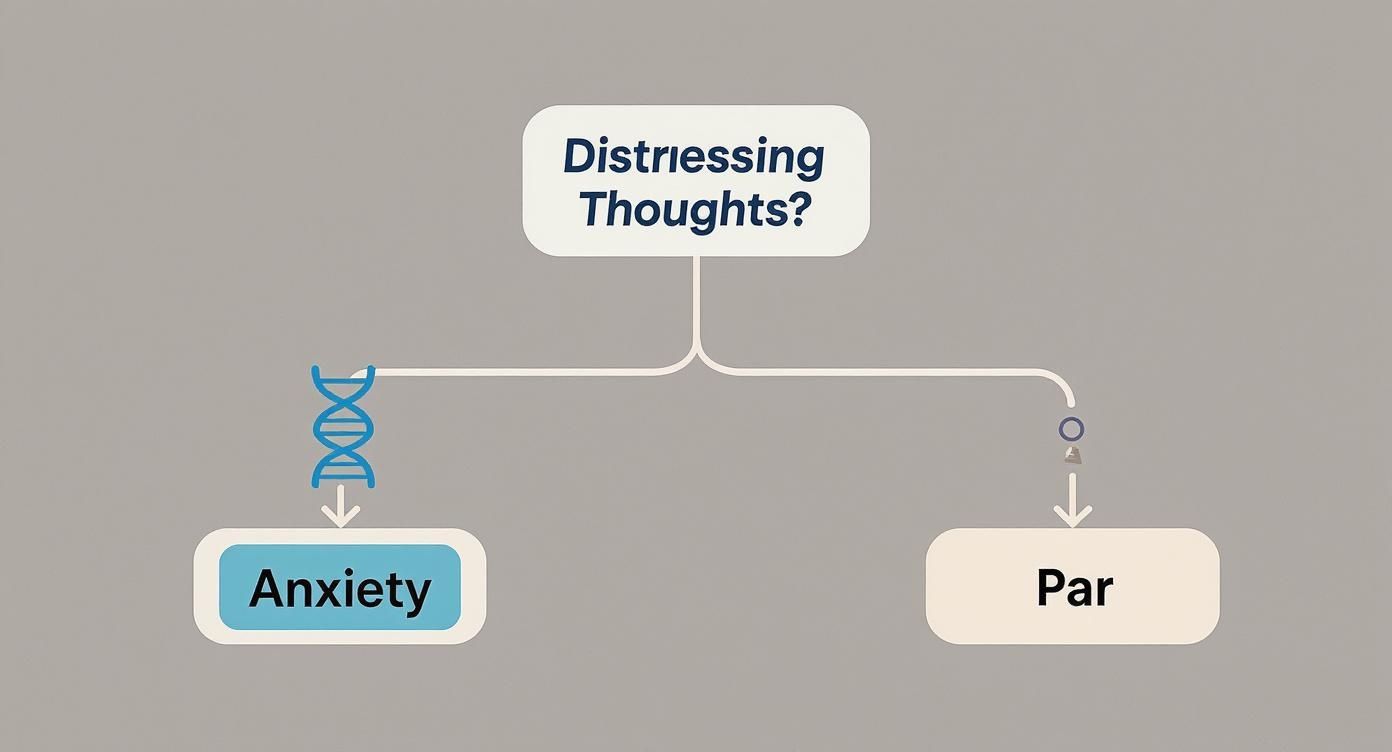 Flowchart diagram showing distressing thoughts branching into anxiety and paranoia mental health conditions