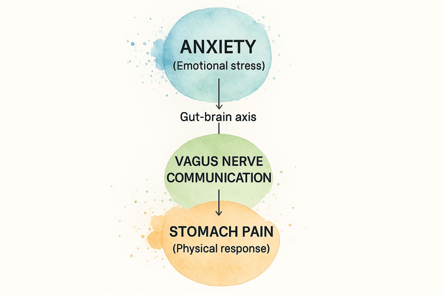 Infographic about anxiety causing stomach pain