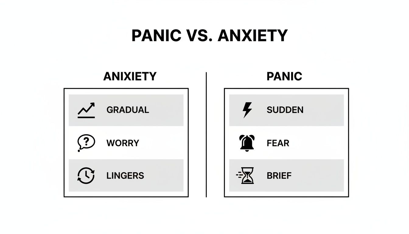 Chart comparing panic vs. anxiety differences: gradual worry that lingers versus sudden, brief fear.