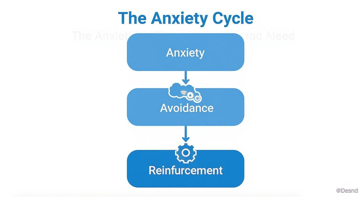 Infographic about behavioral activation for anxiety