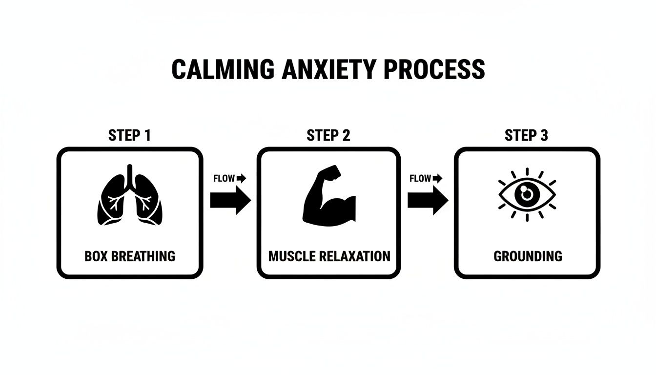 A three-step diagram outlining the calming anxiety process: box breathing, muscle relaxation, and grounding techniques.