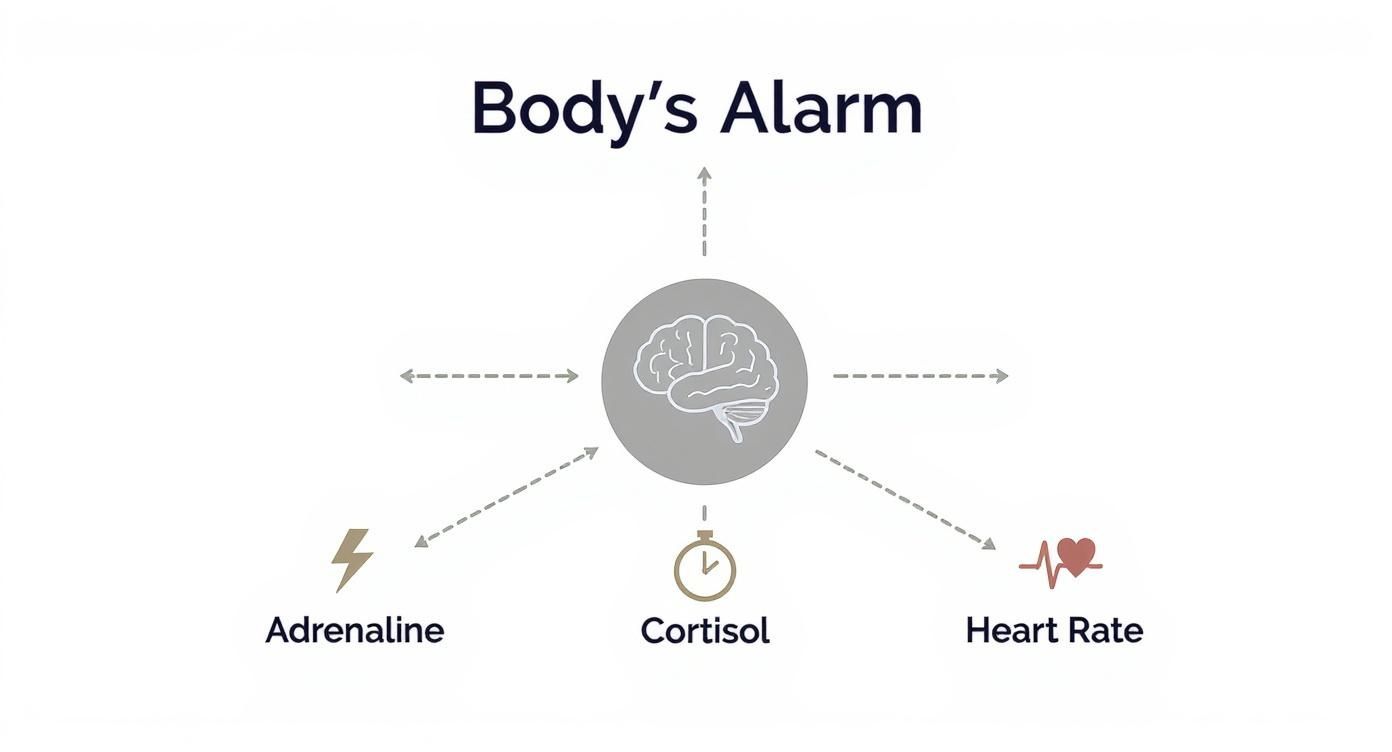A diagram illustrates the body's alarm system, showing the brain influencing adrenaline, cortisol, and heart rate.