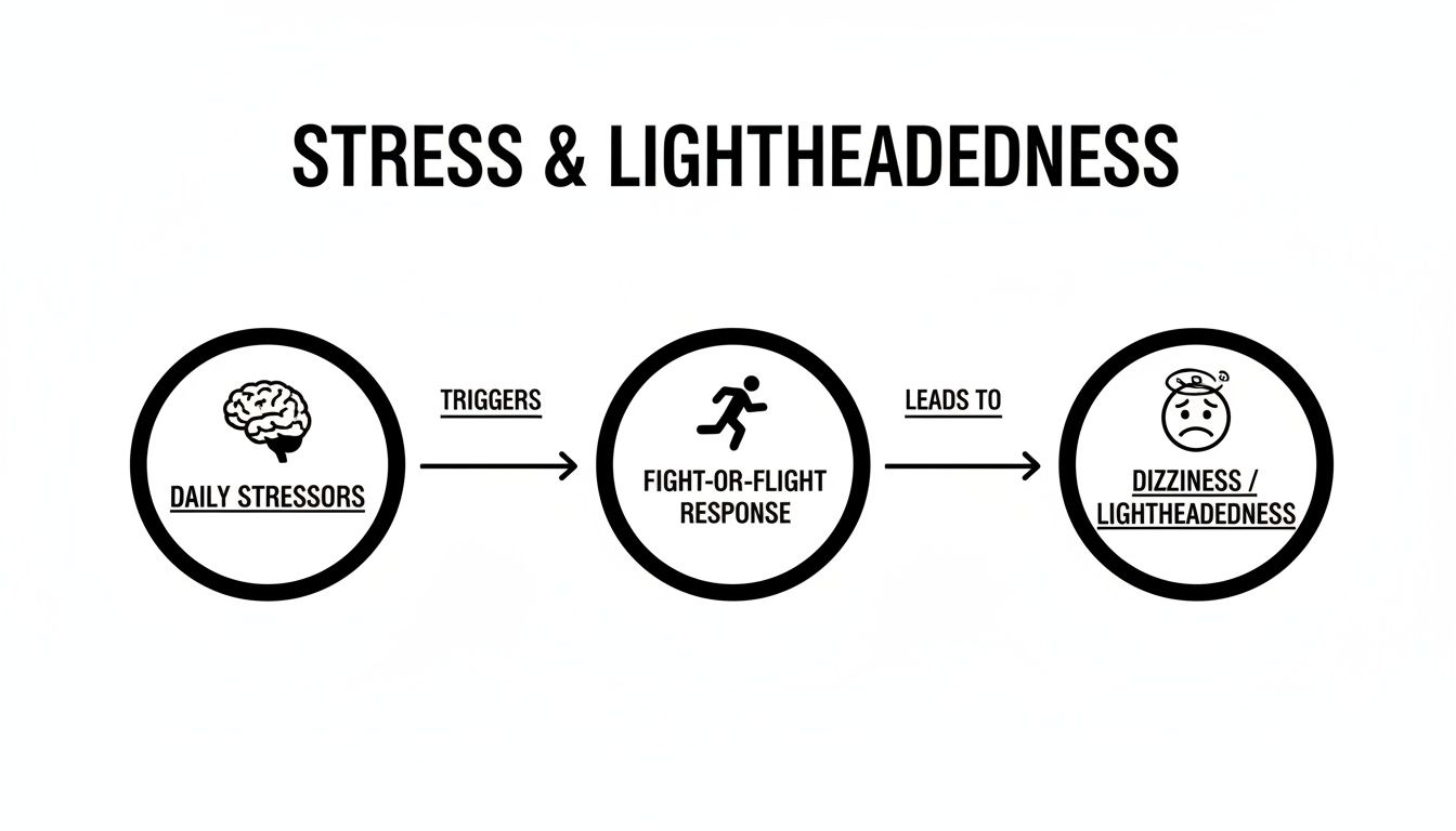 A diagram illustrating how daily stressors trigger a fight-or-flight response, leading to dizziness and lightheadedness.