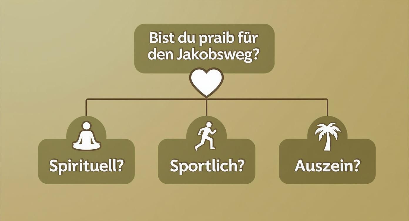 Infographic about der große trip
