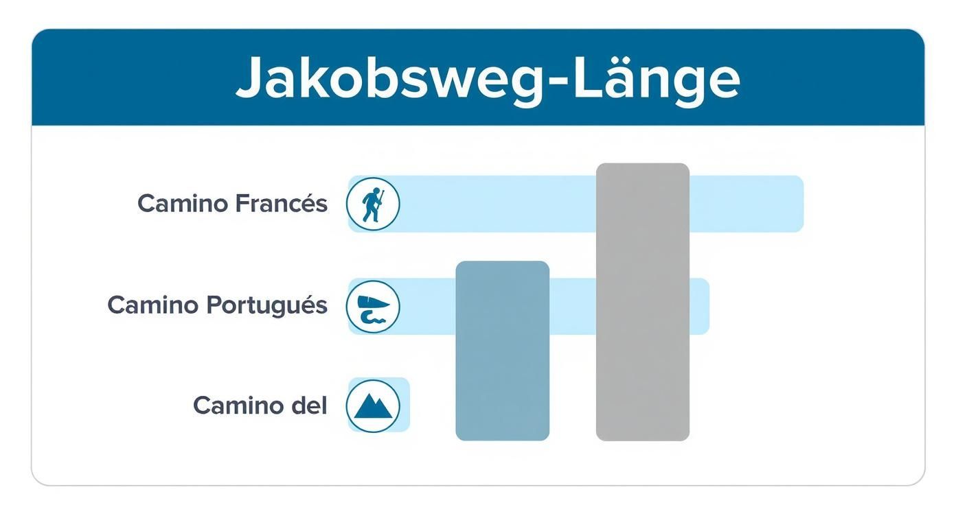 Infographic about wie lang ist der jakobsweg
