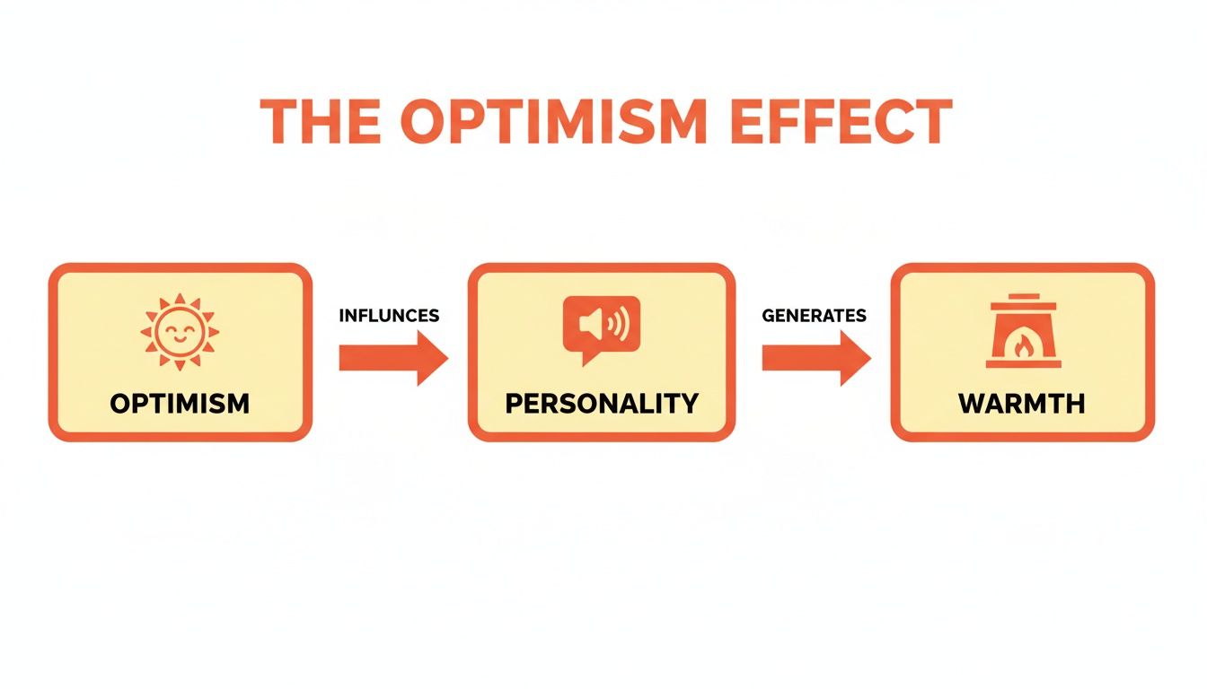 A flowchart titled 'The Optimism Effect' showing optimism influences personality, which generates warmth.