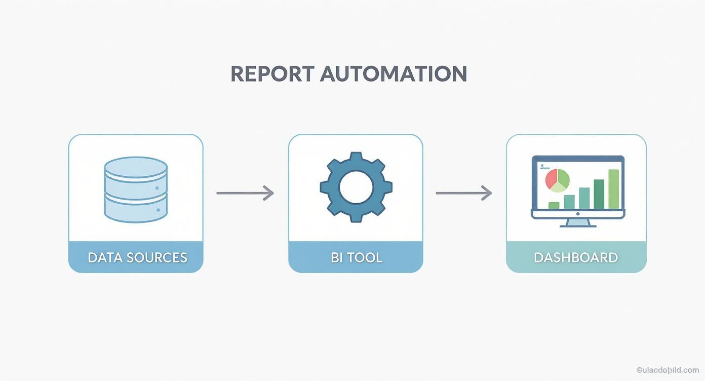 Infographic about management reporting templates