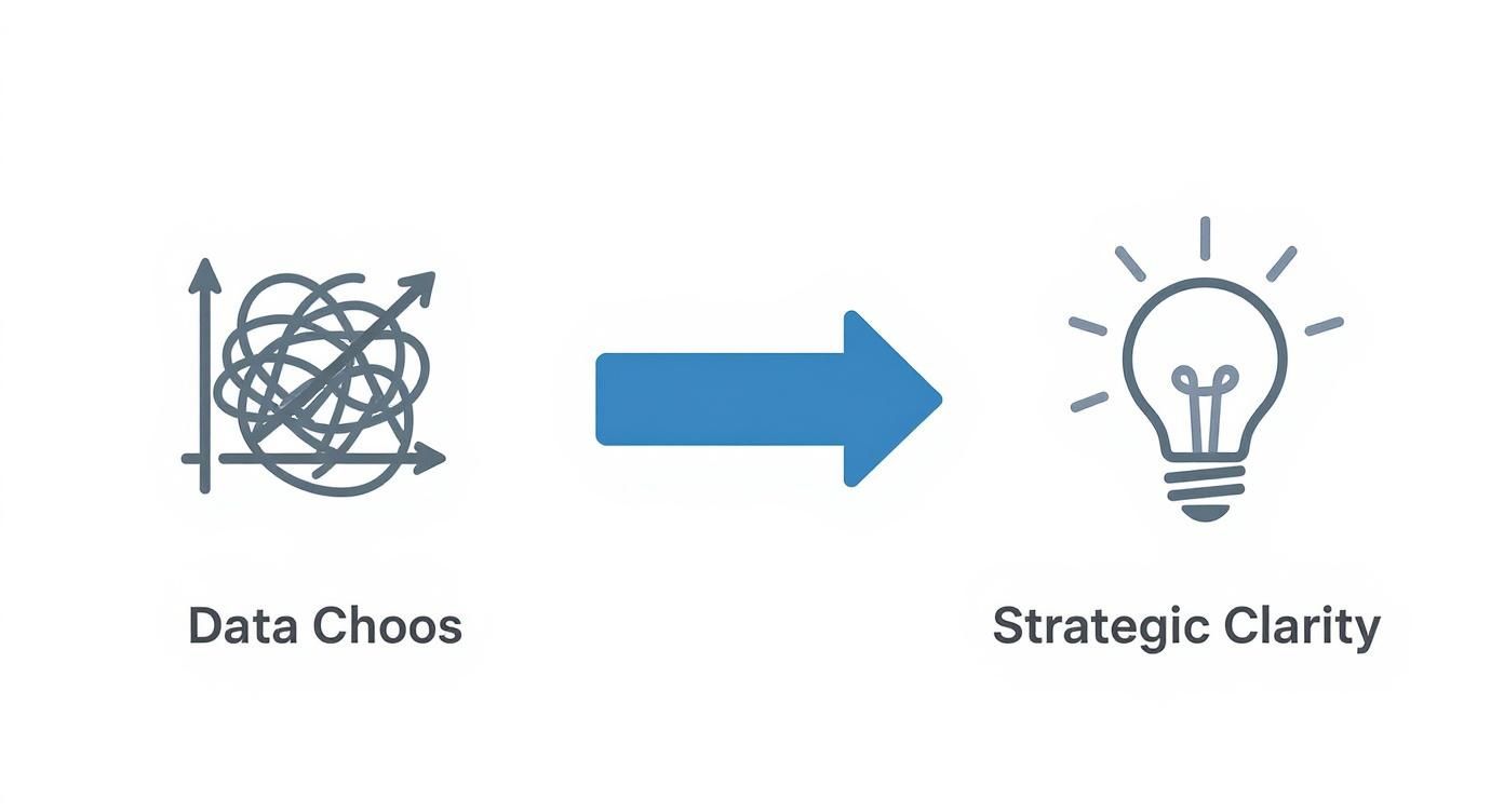 Infographic about how to perform trend analysis