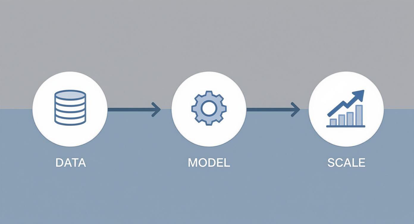 Diagram illustrating a three-step data process: data collection, model creation, and scaling for growth.