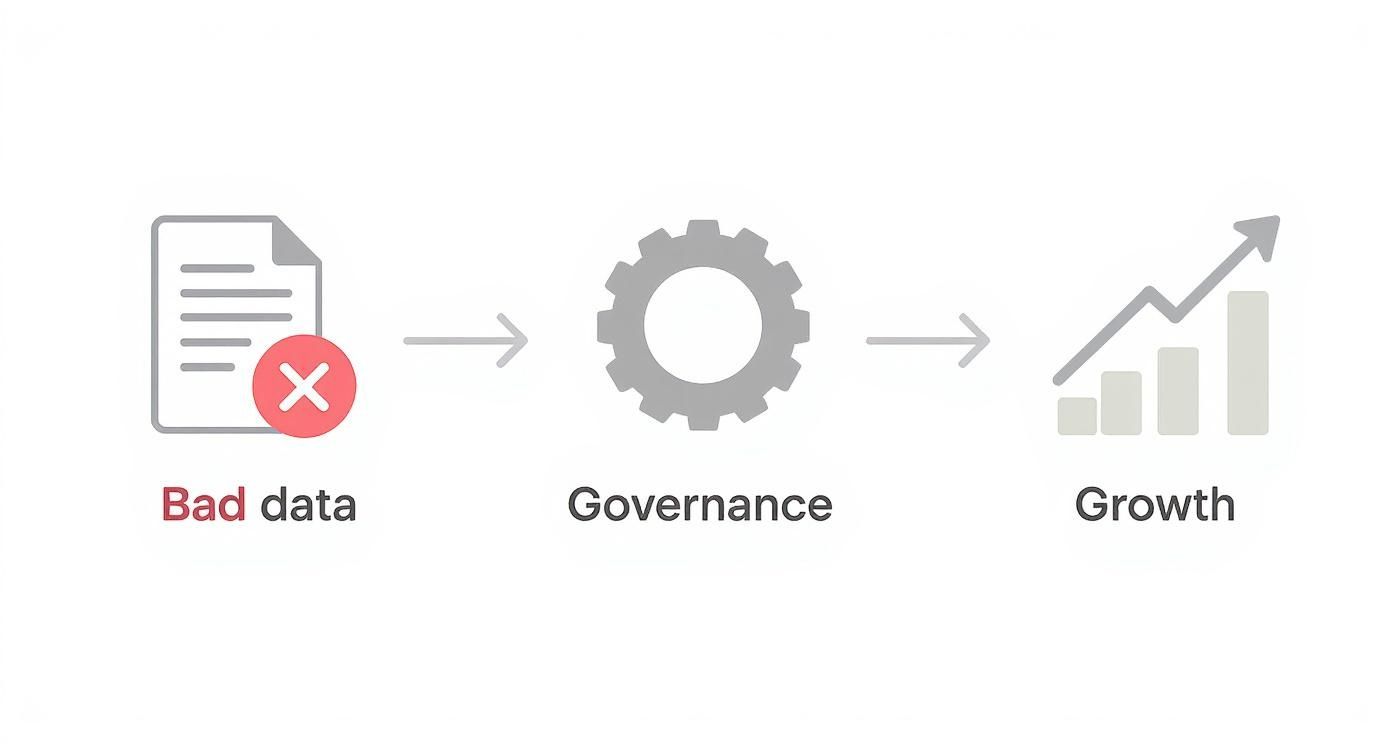 Infographic about data governance consulting services