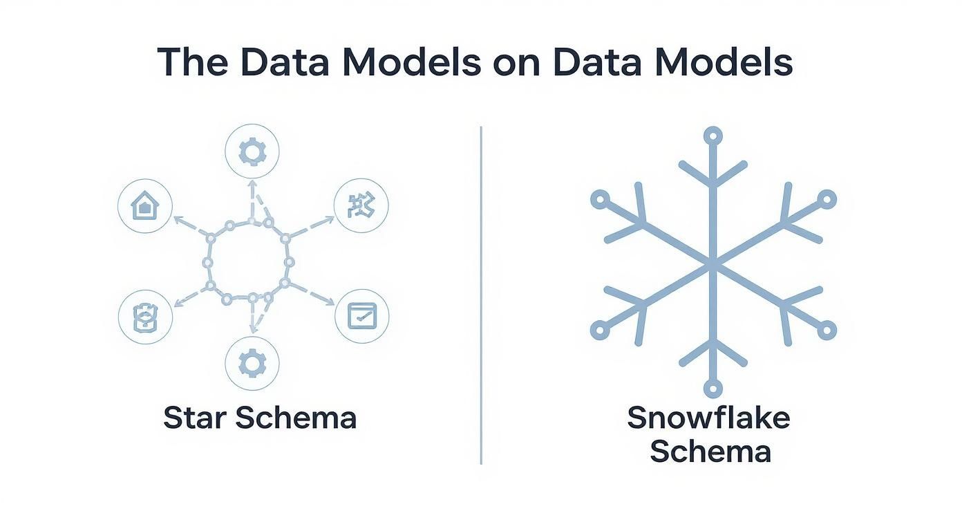 Infographic about data model for data warehouse