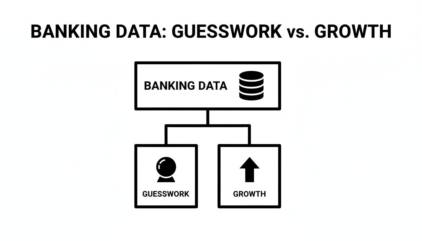 Flowchart illustrating how banking data can lead to either guesswork (crystal ball icon) or growth (arrow icon).