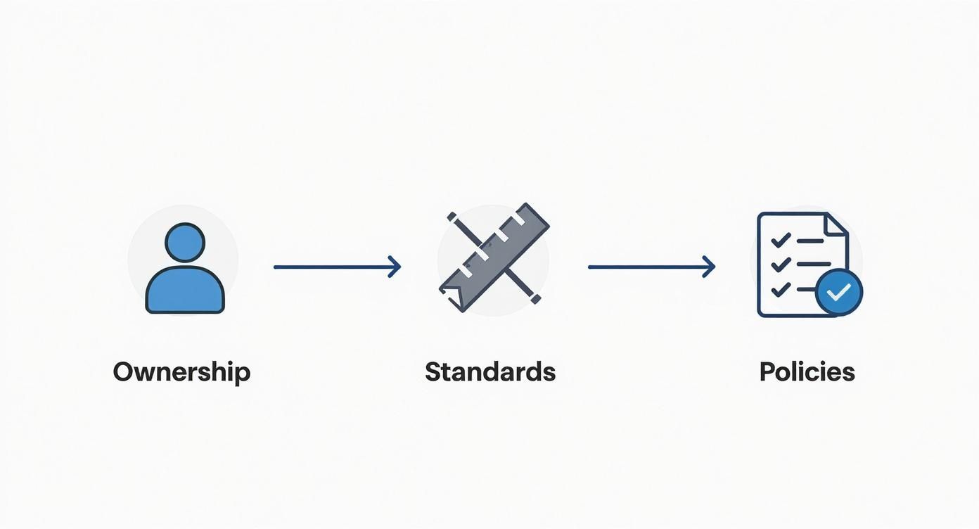 Infographic about data governance and quality