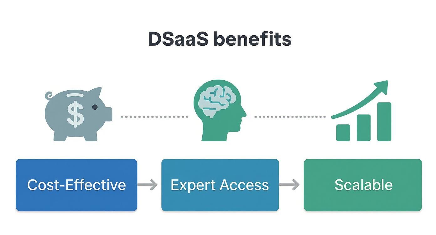 Infographic about data science as a service