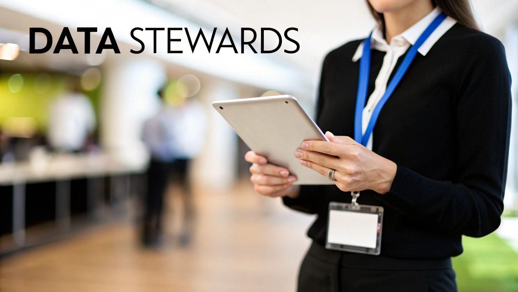 Data Stewardship Model