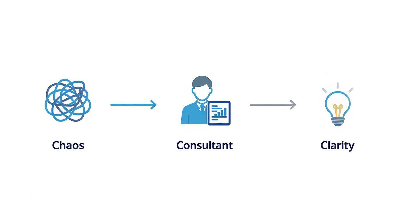 An illustration showing a consultant transforming a tangled mess (chaos) into clear solutions (clarity).