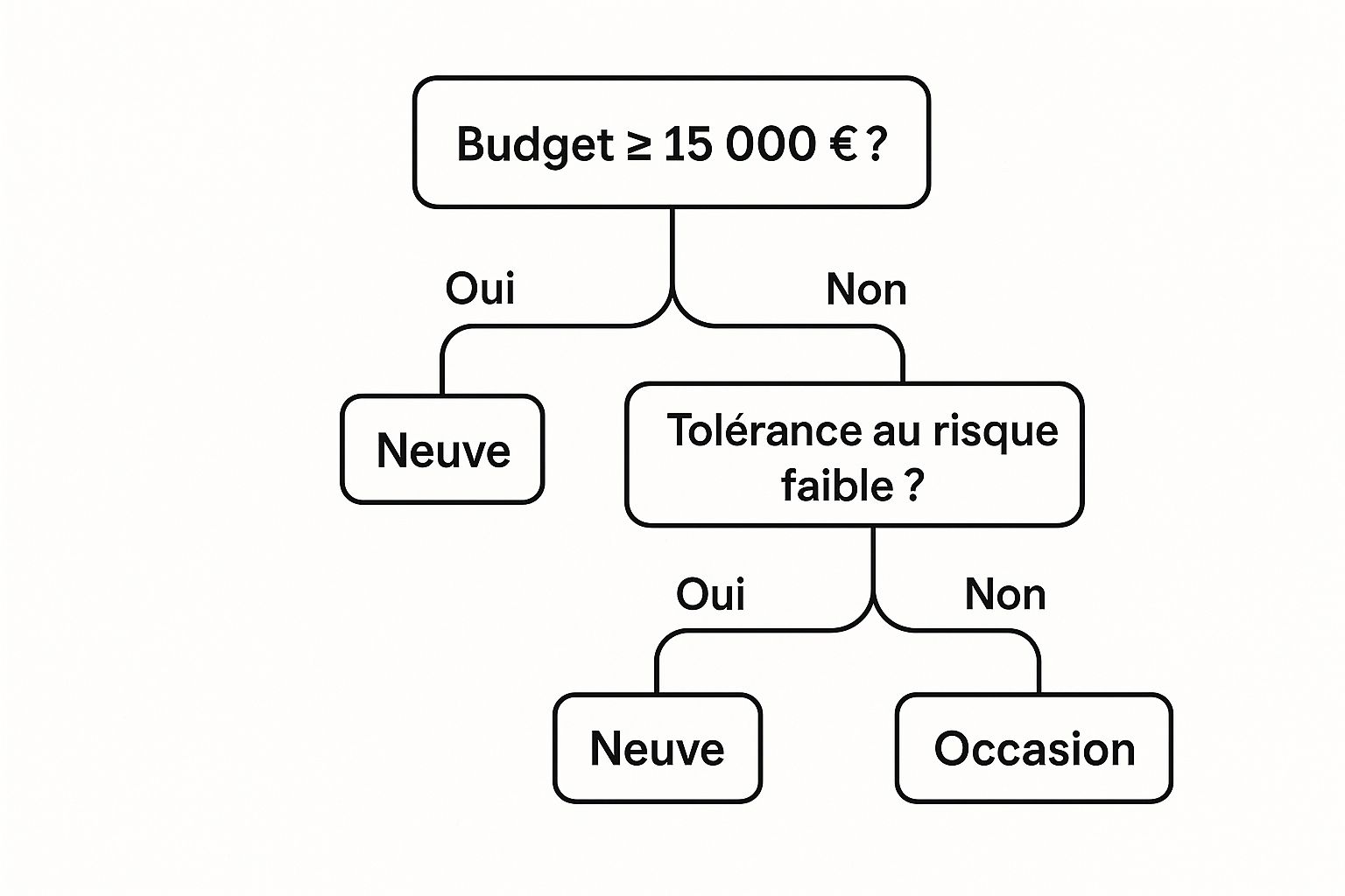 Infographic about comment choisir sa première voiture