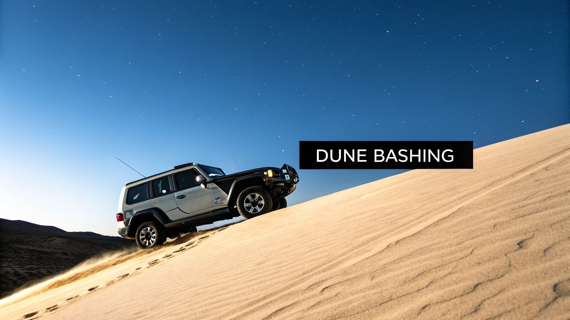Desert Safari with Dune Bashing