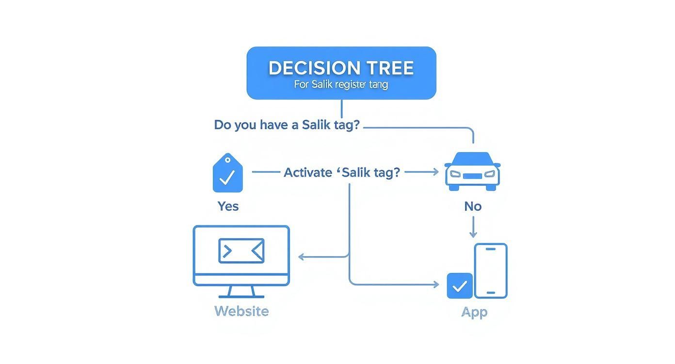 Infographic about how to register salik